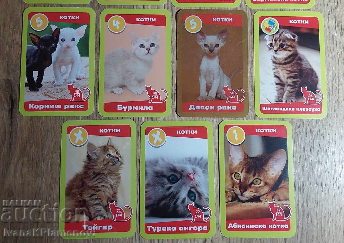 Collector's Cards, 19 pieces with price € 10.00 | 19.56 BGN Collector's Cards, 19 pieces with price € 10.00 | 19.56 BGN