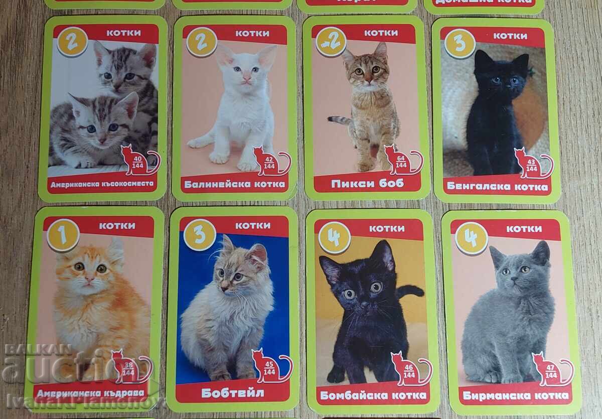 Auction Collector's Cards, 19 pieces Auction Collector's Cards, 19 pieces