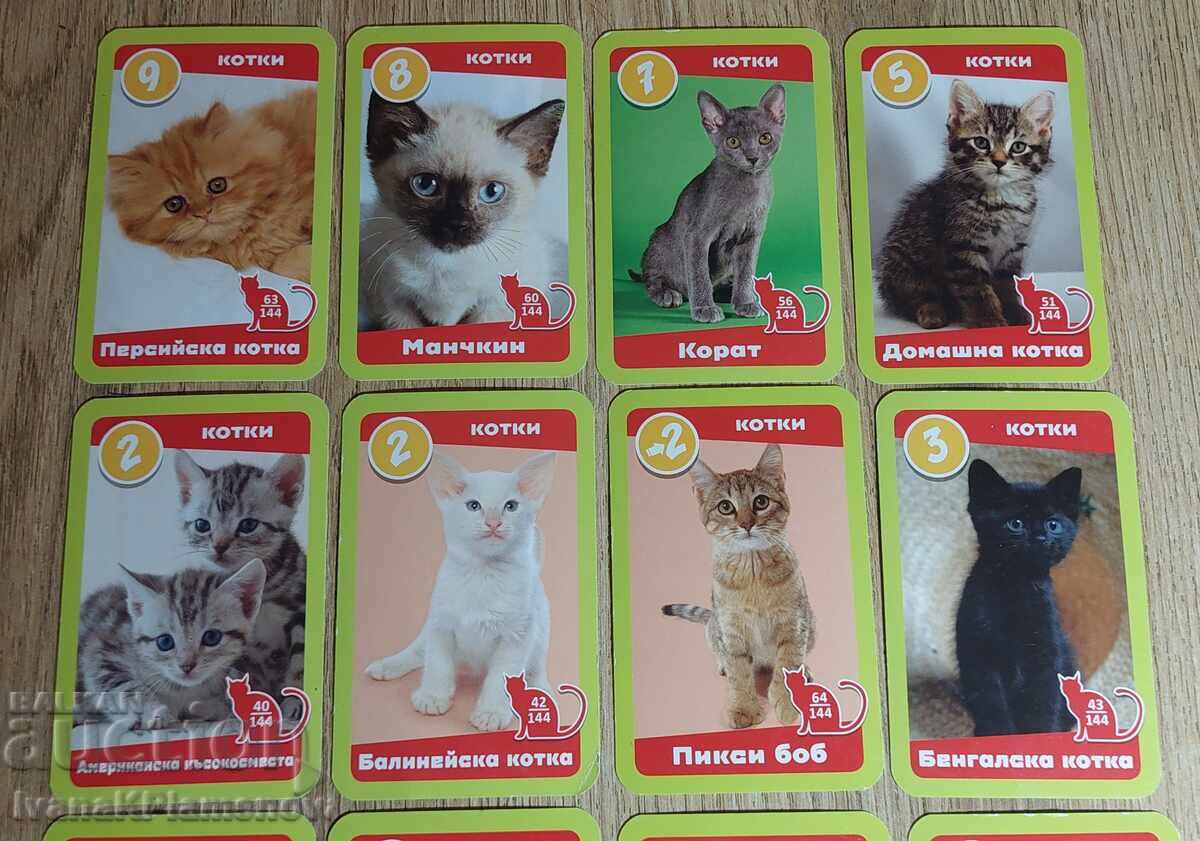 Delivery of Collector's Cards, 19 pieces Delivery of Collector's Cards, 19 pieces