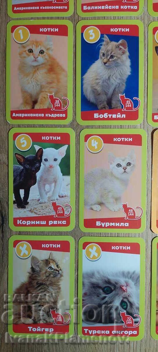 Карти за колекционери 19 броя - 5