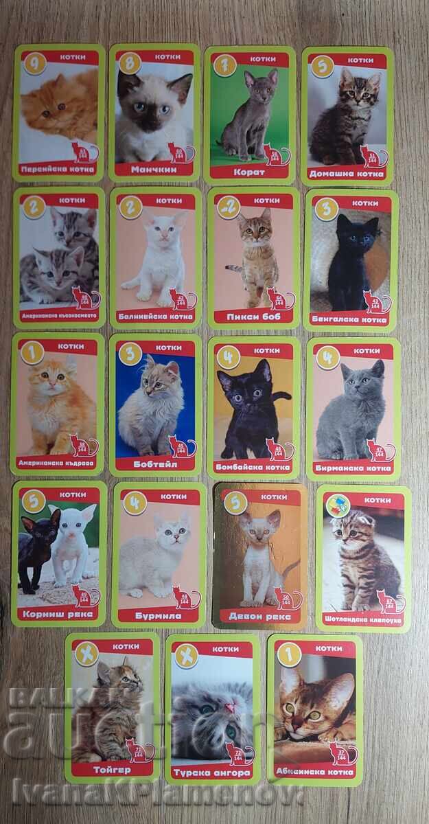 Collector's Cards, 19 pieces Collector's Cards, 19 pieces