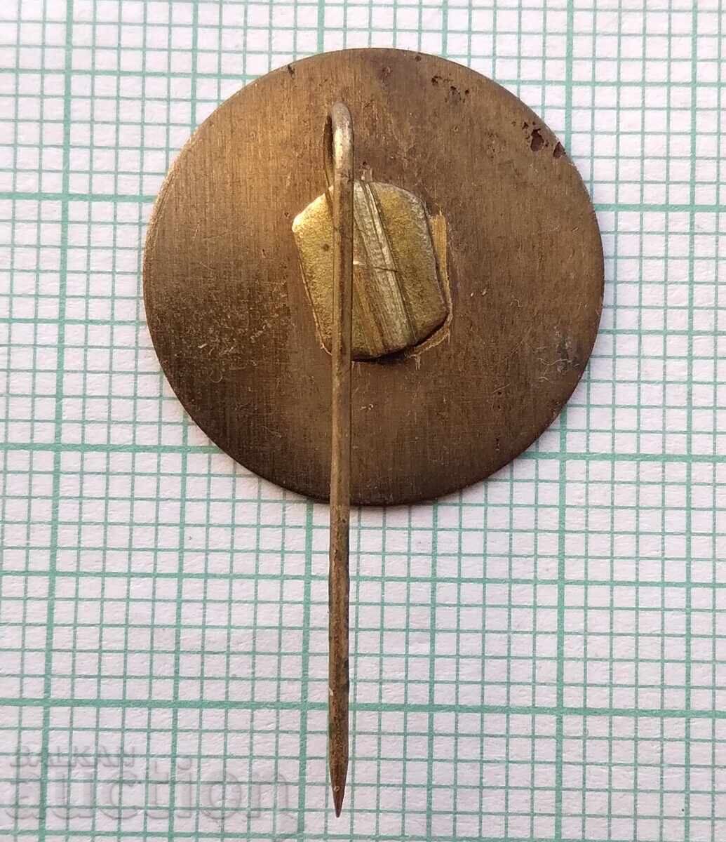 Аукцион 19367 Значка