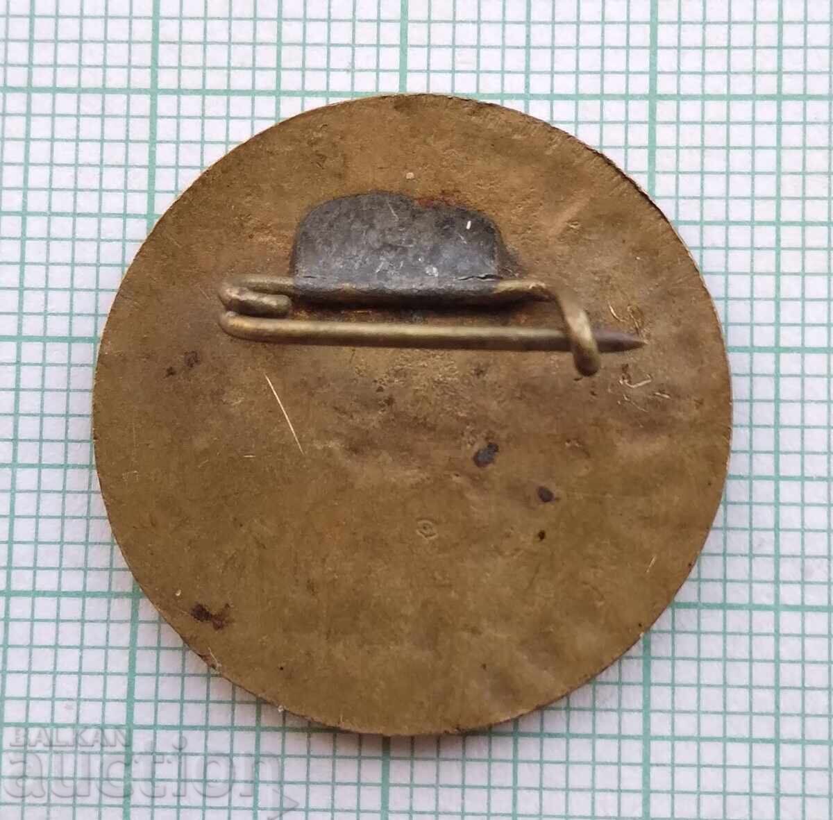 Auction 19373 Badge - Esperanto - bronze enamel Auction 19373 Badge - Esperanto - bronze enamel