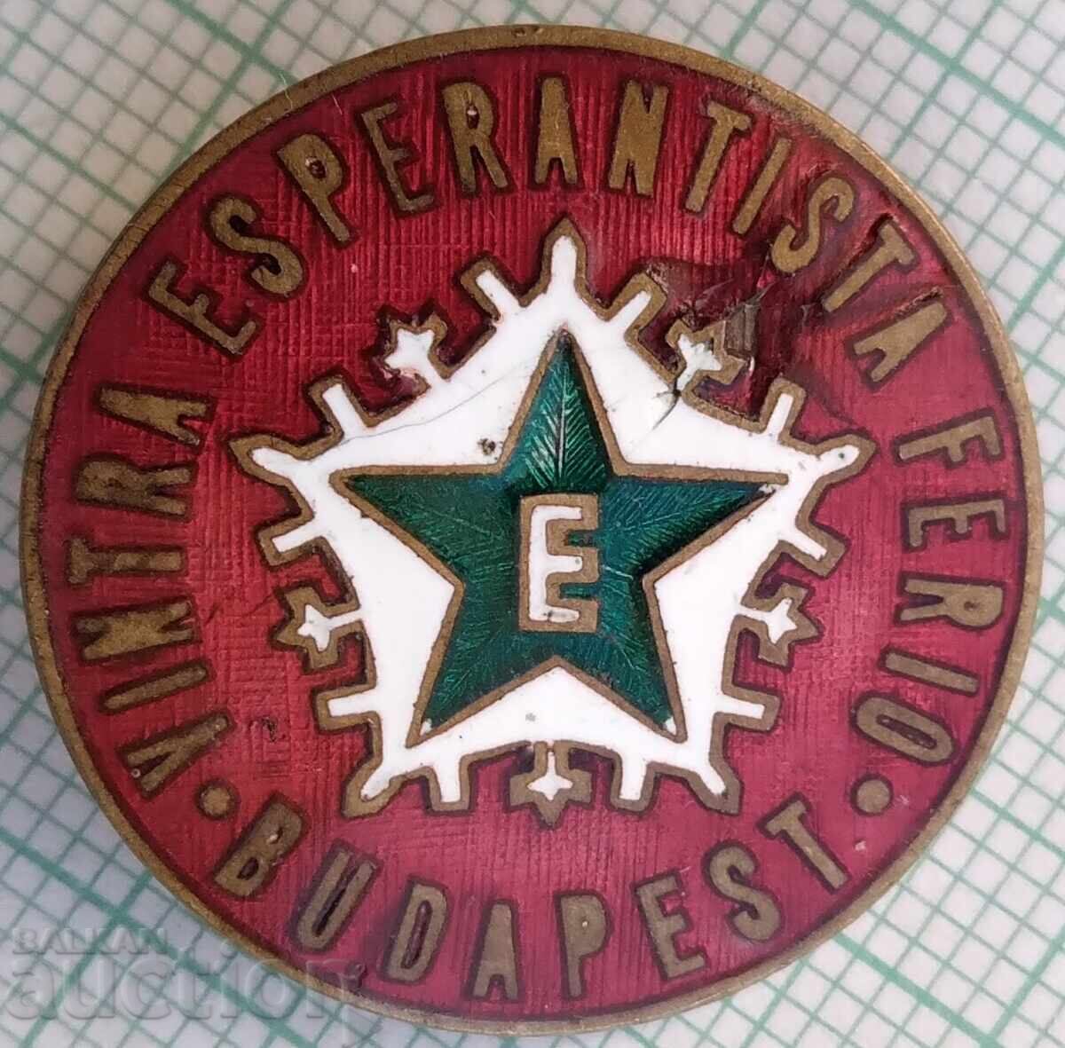 19373 Badge - Esperanto - bronze enamel 19373 Badge - Esperanto - bronze enamel