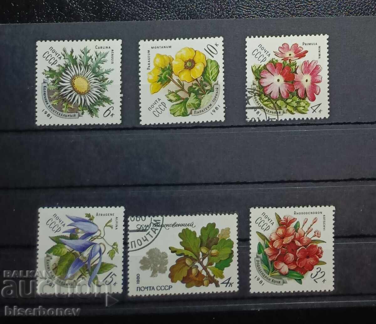 Σοβιετική Ένωση, SSSR, 1980, παρτίδα γραμματοσήμων με καθαρή κόλλα Σοβιετική Ένωση, SSSR, 1980, παρτίδα γραμματοσήμων με καθαρή κόλλα