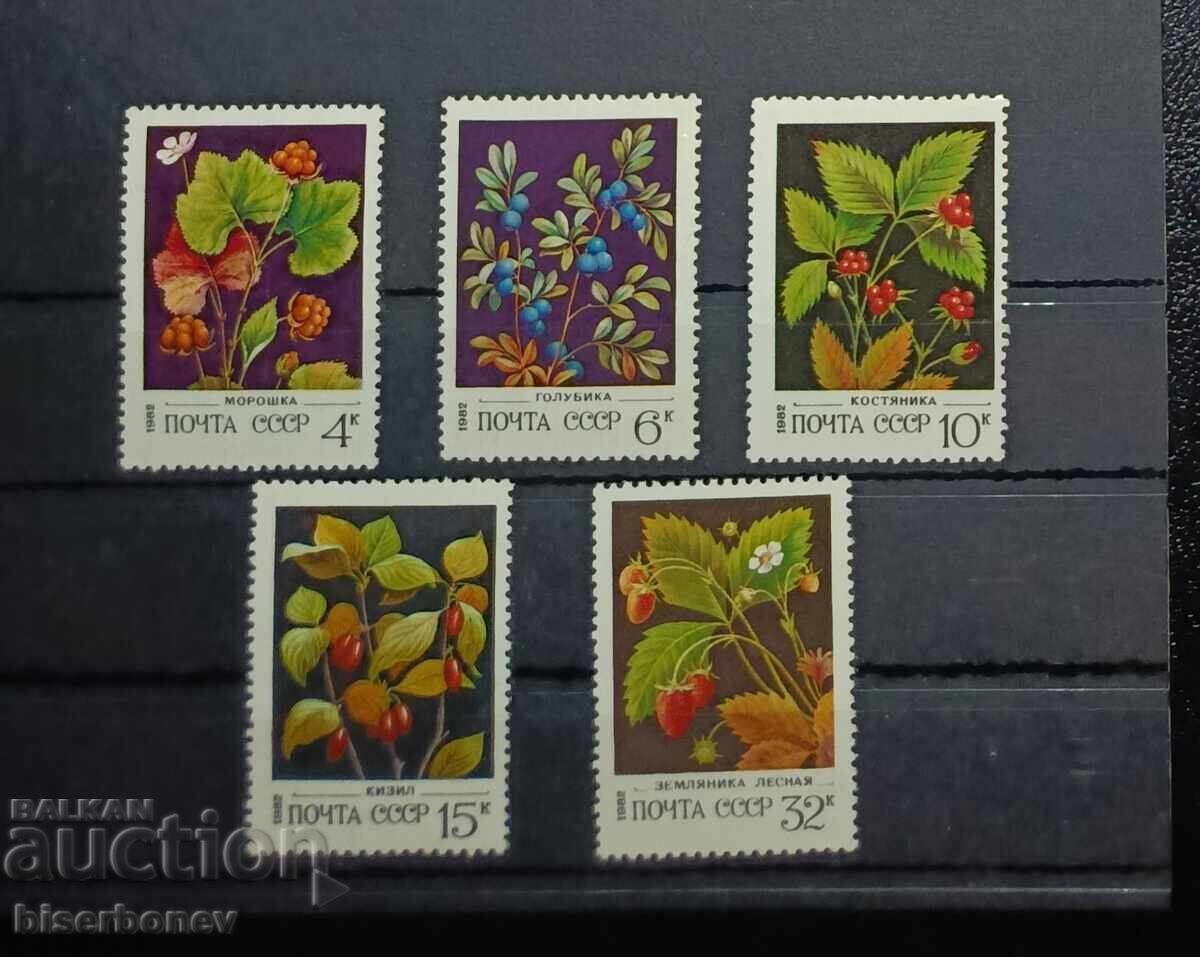 1982 g, USSR, SSSR, παρτίδα γραμματοσήμων με καθαρή κόλλα