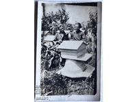 Μέλισσες και κυψέλες με μέλι