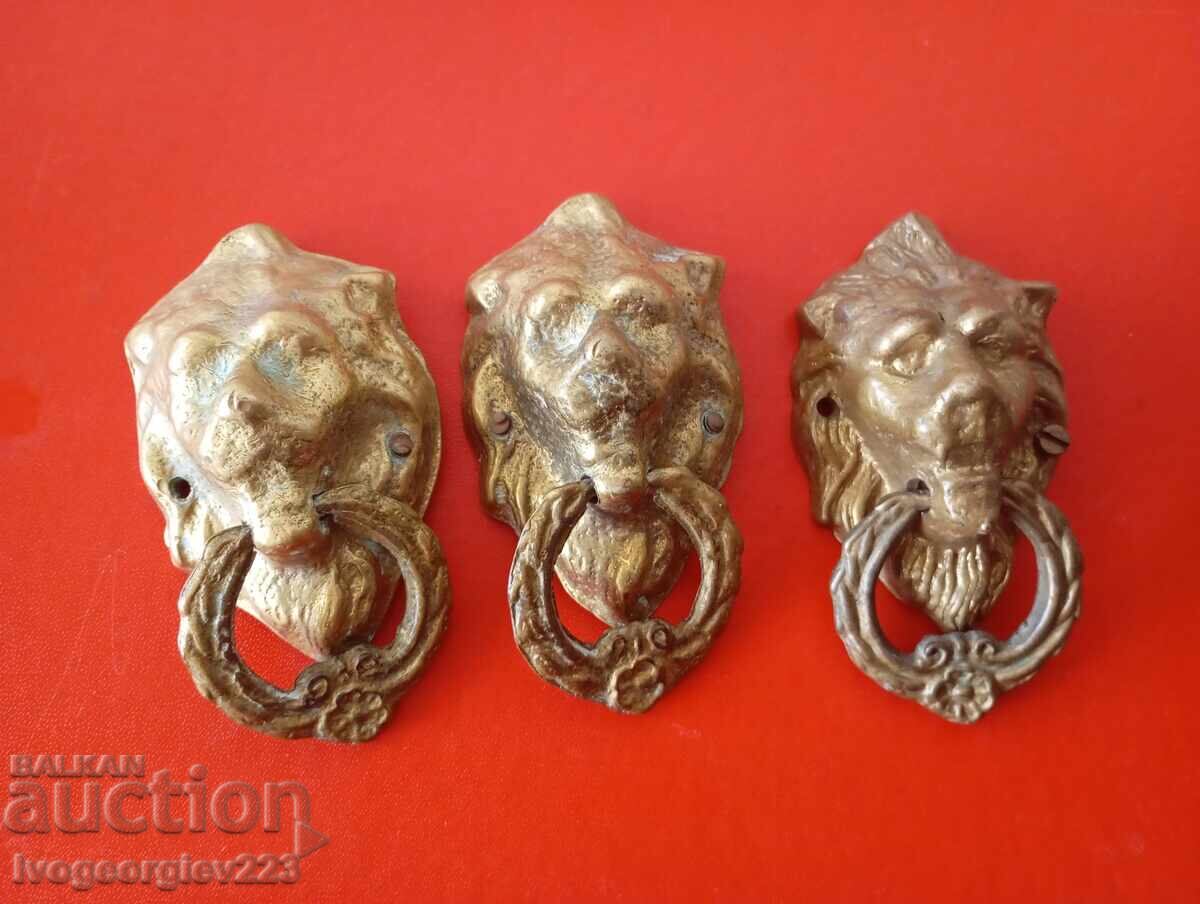 Application set - lion head Application set - lion head
