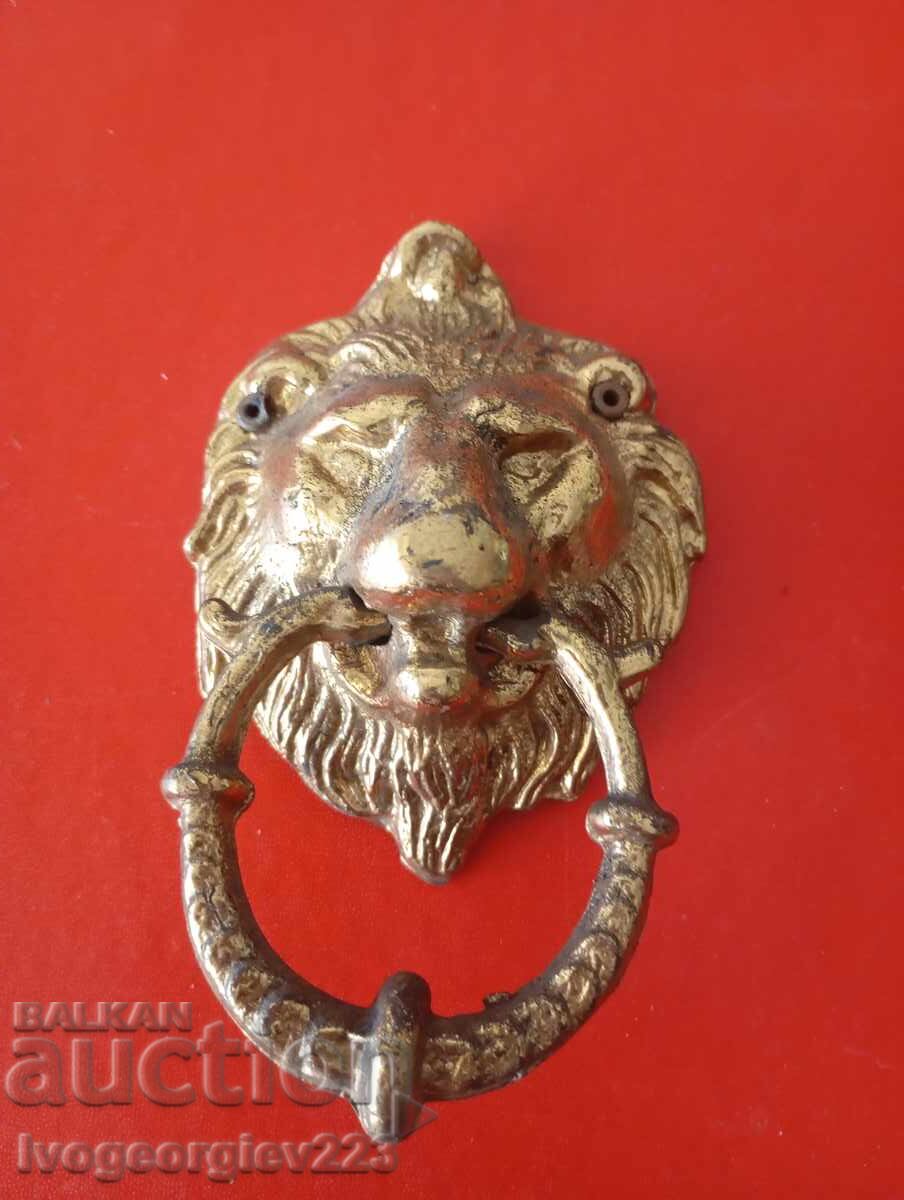 Application - Lion's Head Application - Lion's Head