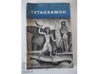 Book "Tutankhamun - Jean-François Pail" - 150 pages