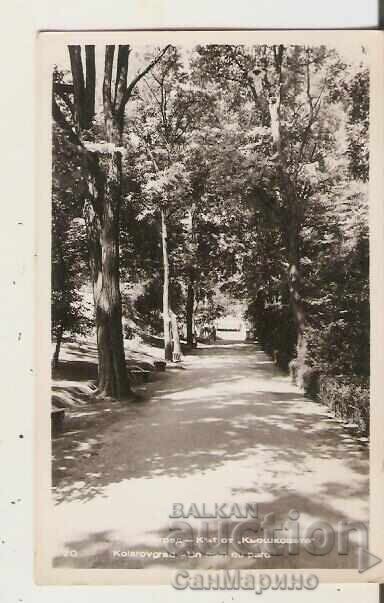 Kartichka Bŭlgariya Kolarovgrad Κάτω από "Κιόσκια"** Kartichka Bŭlgariya Kolarovgrad Κάτω από "Κιόσκια"**