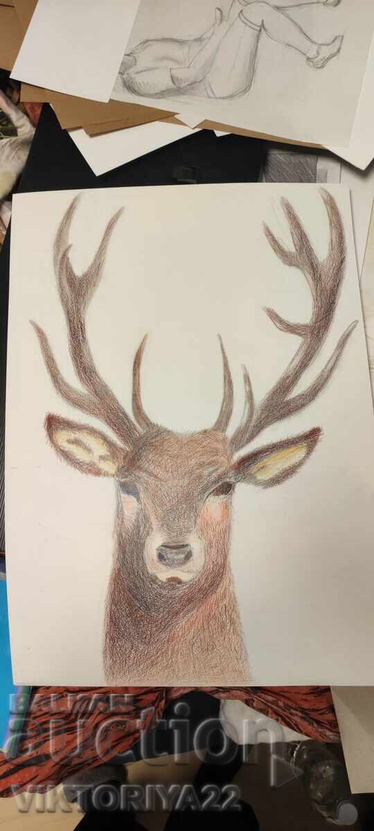 Авторски творби - 5 Авторски творби - 5