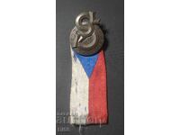 Cehia Cehoslovac Adunare Tineret Sokol 1935 g. BZȚ