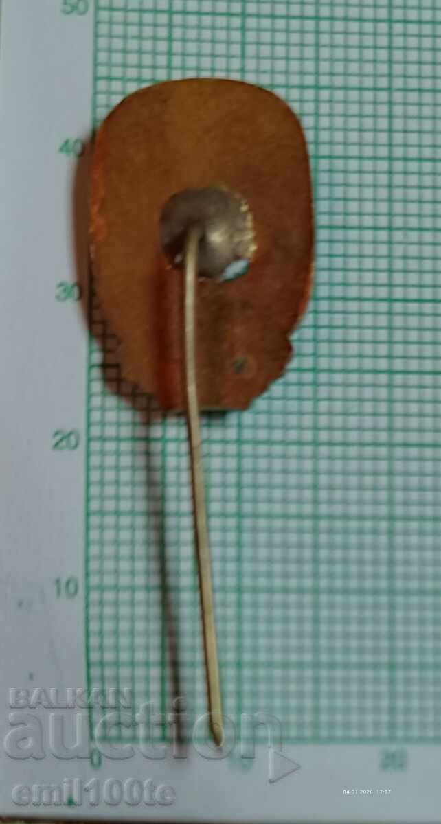 Σήμα - Hristo Botev - 6