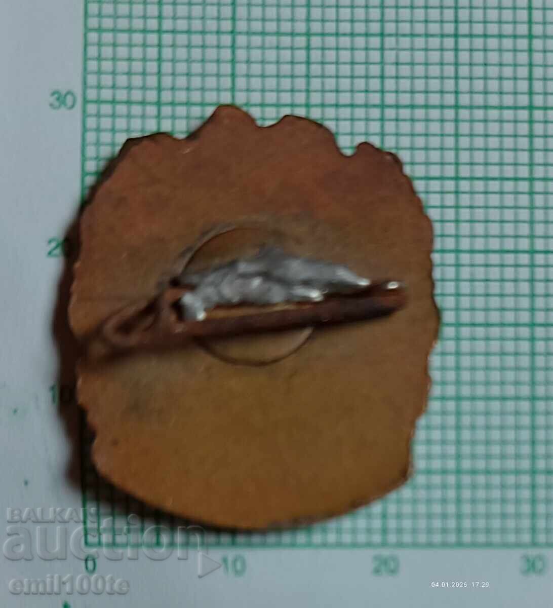 Доставка на Значка- Покорител на планински Първенци