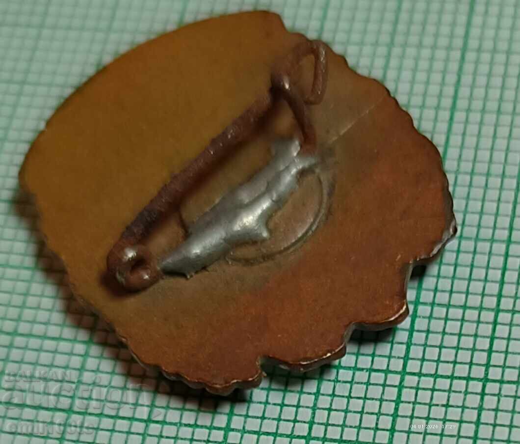 Значка- Покорител на планински Първенци - 5