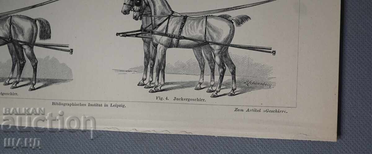 1900 Lithograph of Horse-Drawn Carriage Types with price € 5.11 | 9.99 BGN 1900 Lithograph of Horse-Drawn Carriage Types with price € 5.11 | 9.99 BGN