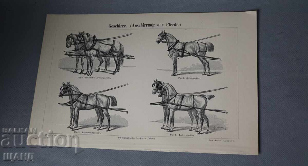 1900 Lithograph of Horse-Drawn Carriage Types 1900 Lithograph of Horse-Drawn Carriage Types