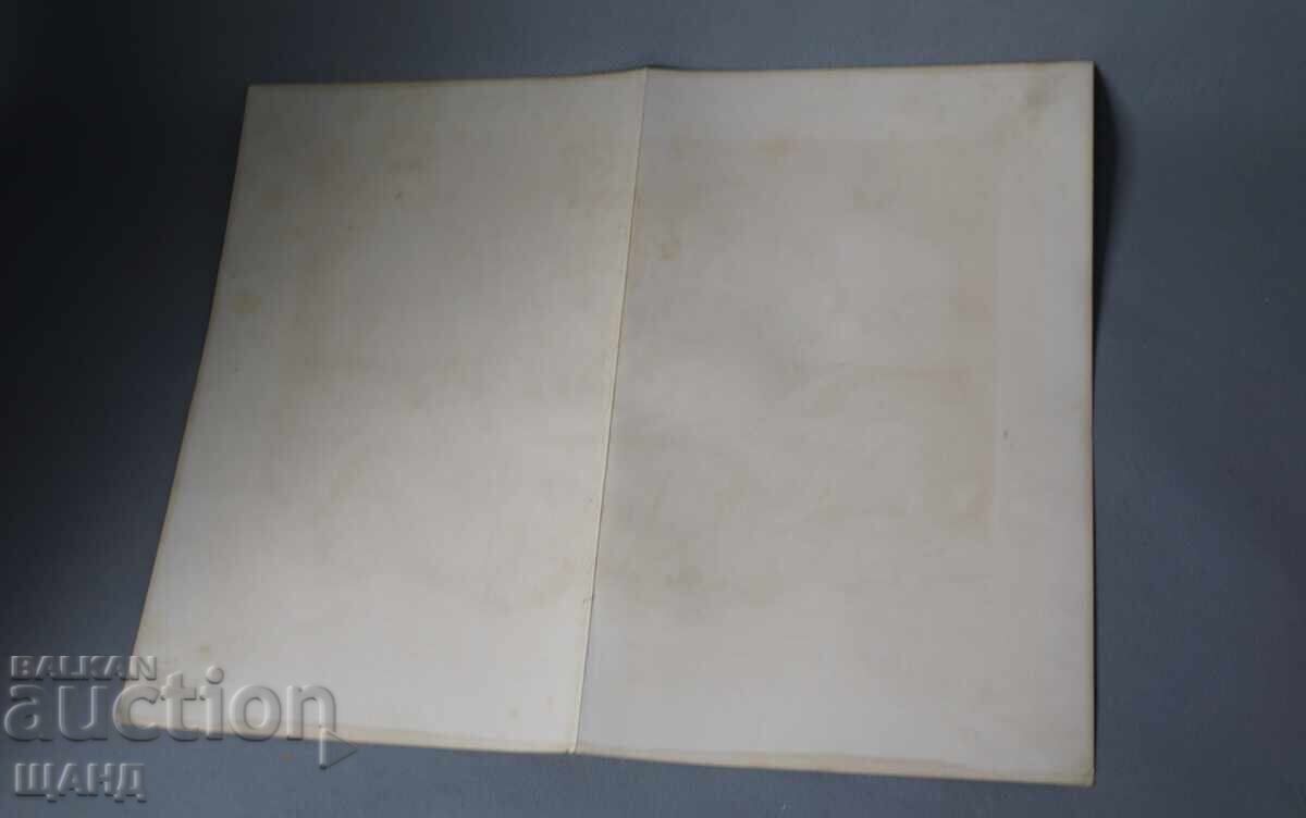 1900 Lithograph of Rabbit Species with price € 5.11 | 9.99 BGN 1900 Lithograph of Rabbit Species with price € 5.11 | 9.99 BGN