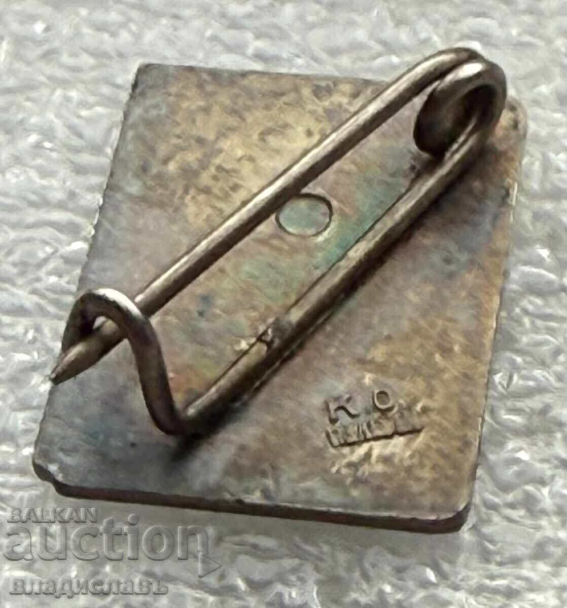 Insigna țaristă Bulgaria BUS 1895 marcată K.O. Pleven - 6