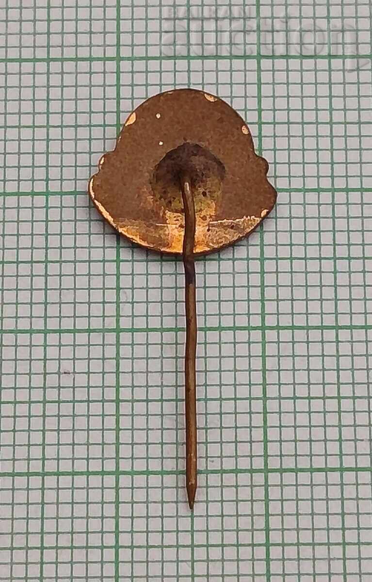 ESPERANTO LOGO BADGE ENAMEL with price € 1.00 | 1.96 BGN ESPERANTO LOGO BADGE ENAMEL with price € 1.00 | 1.96 BGN