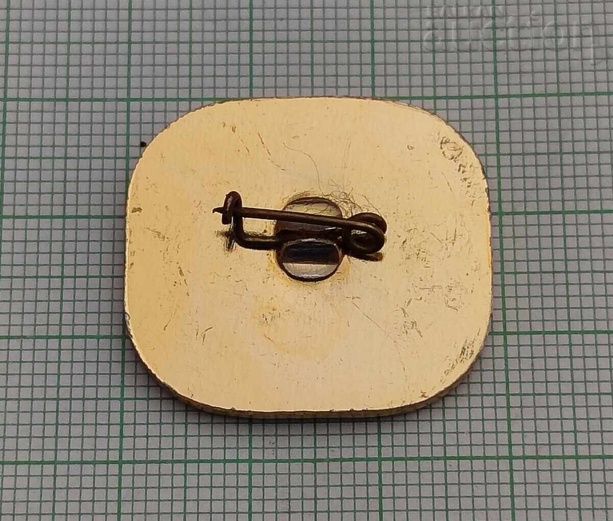 ДЪРЖАВЕН АРХИВ СМОЛЯН 25 г. ЗНАЧКА с цена € 1.50 | 2.93 лв.