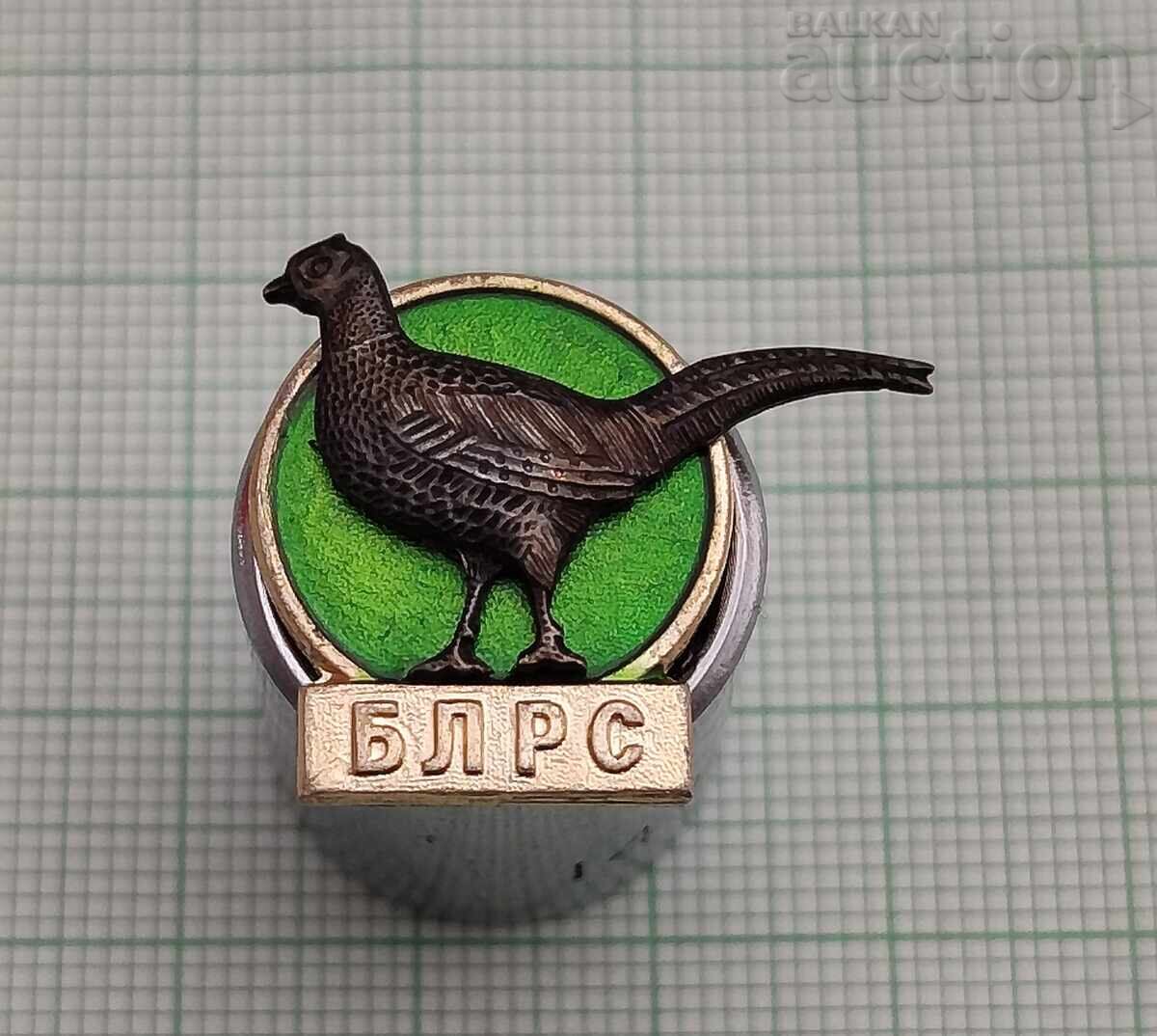 ΦΑΣΑΝΟΣ BLRS ΣΗΜΑ ΦΑΣΑΝΟΣ BLRS ΣΗΜΑ