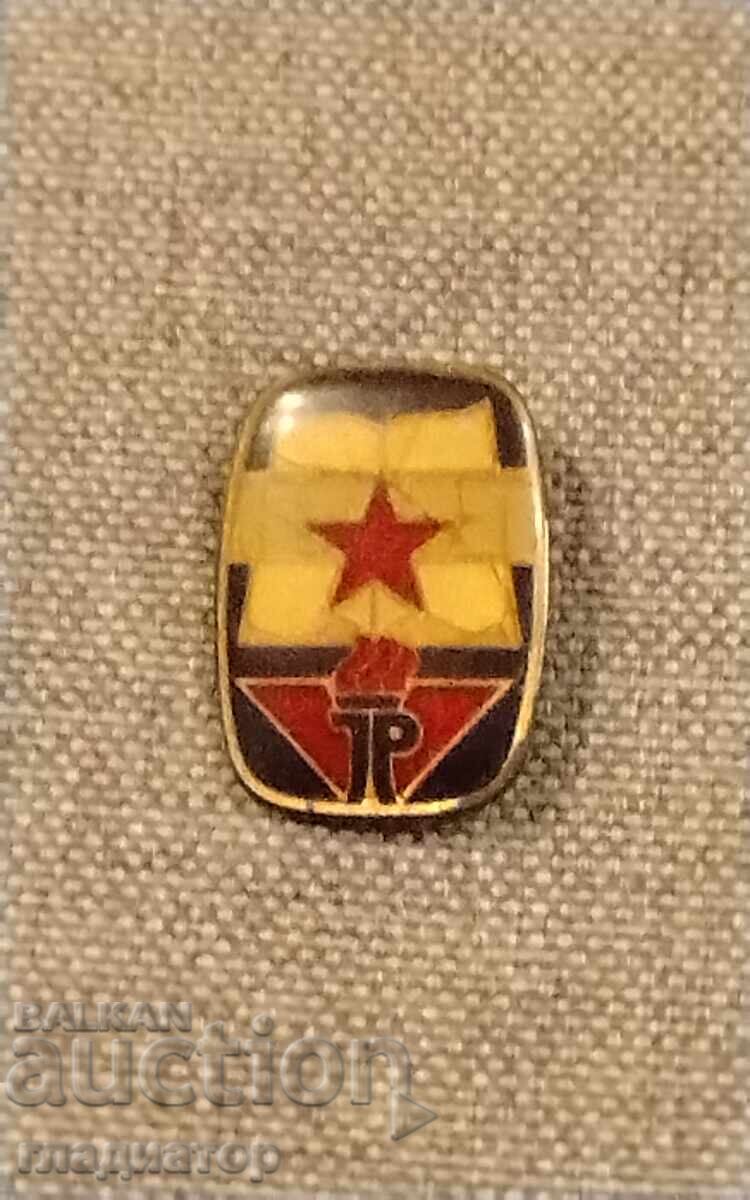 Vechi insignă germană de pionier Pionier RDG DDR socialism Vechi insignă germană de pionier Pionier RDG DDR socialism