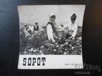 СОПОТ, стари картички, 17 броя, диплянка