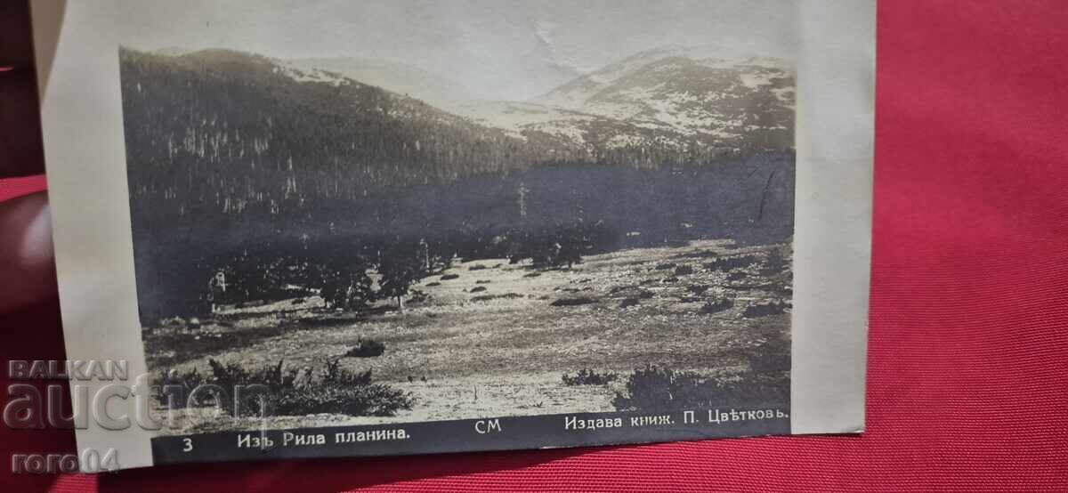 RILA with price € 7.77 | 15.20 BGN