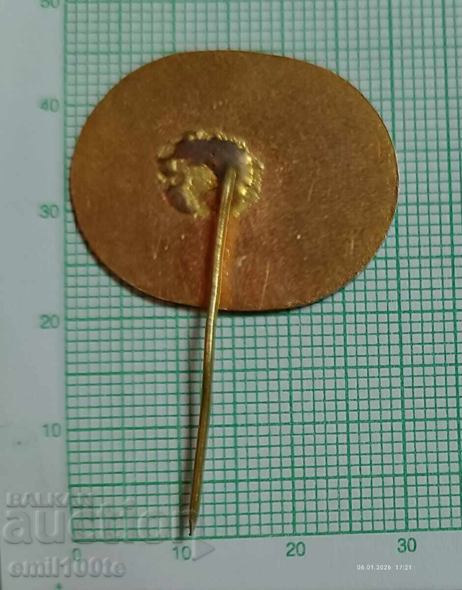 Доставка на Значка- БНБ За дългогодишна активна дейност