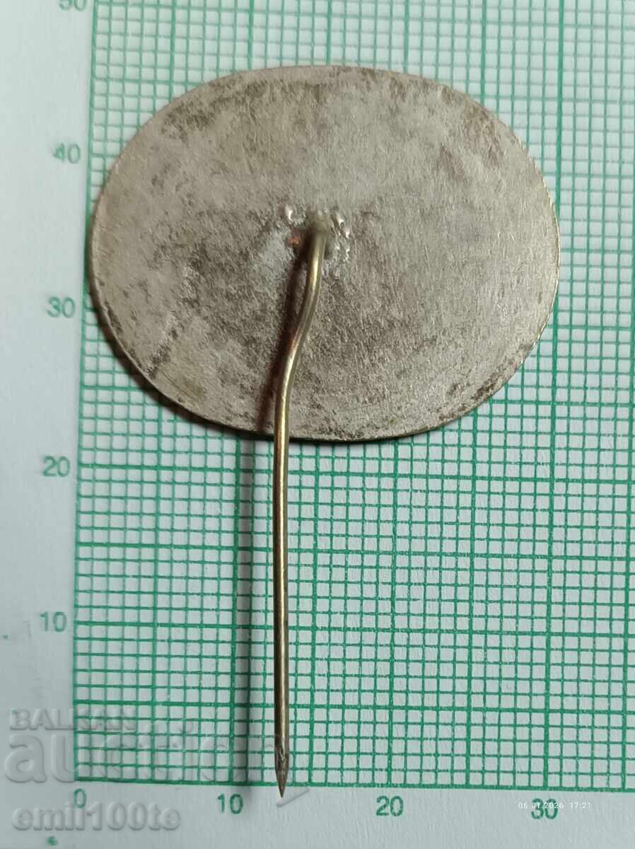 Доставка на Значка- БНБ За дългогодишна активна дейност