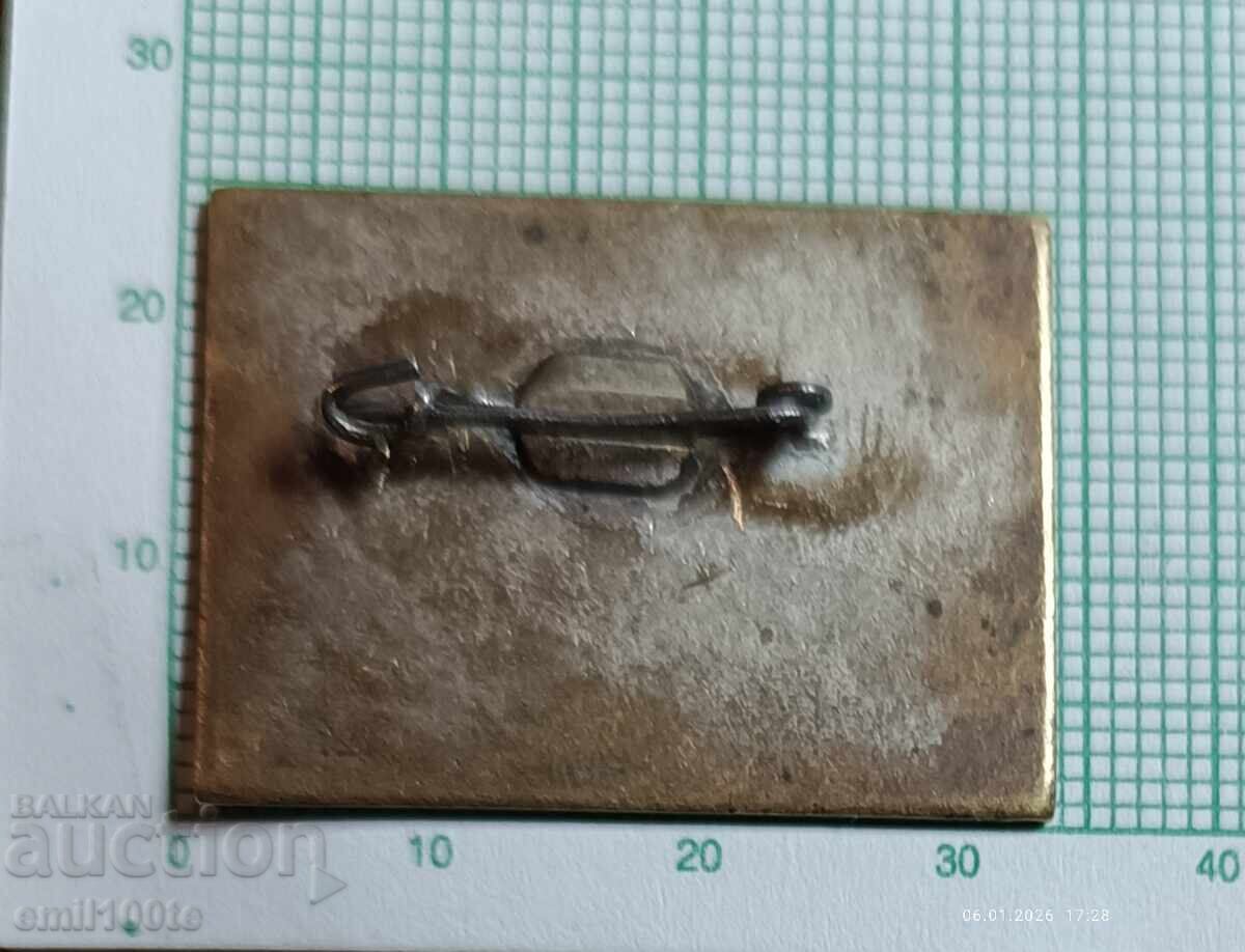 Badge - 50 years of Chitalishte Blagoy Popov, Dren village - 5 Badge - 50 years of Chitalishte Blagoy Popov, Dren village - 5