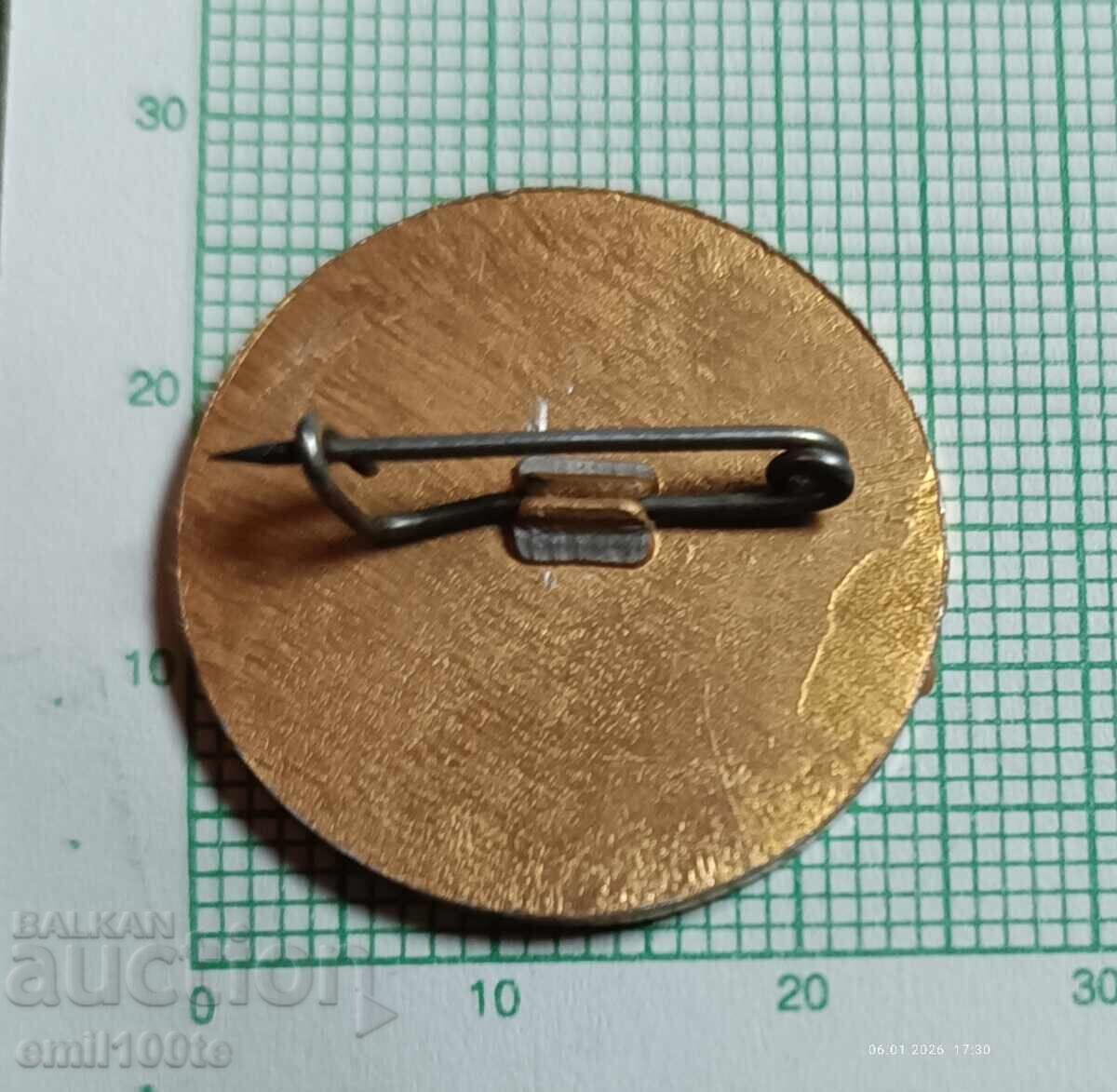 Delivery of Badge - Chitalishte Otets Paisiy village Dospey 1910