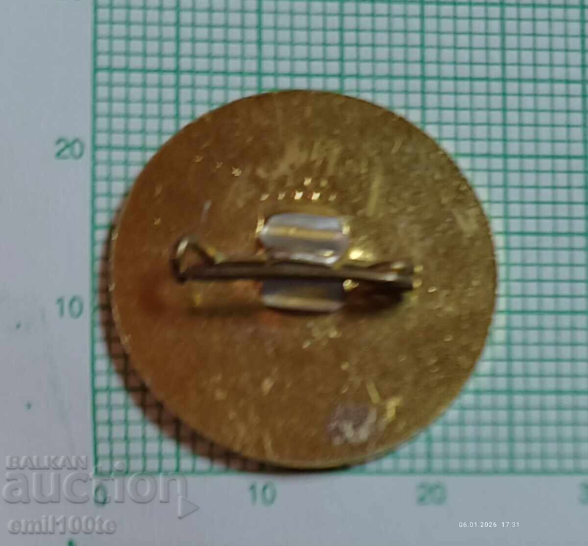 Значка- 100 години Читалище Славянска беседа София 1880 1980 - 5