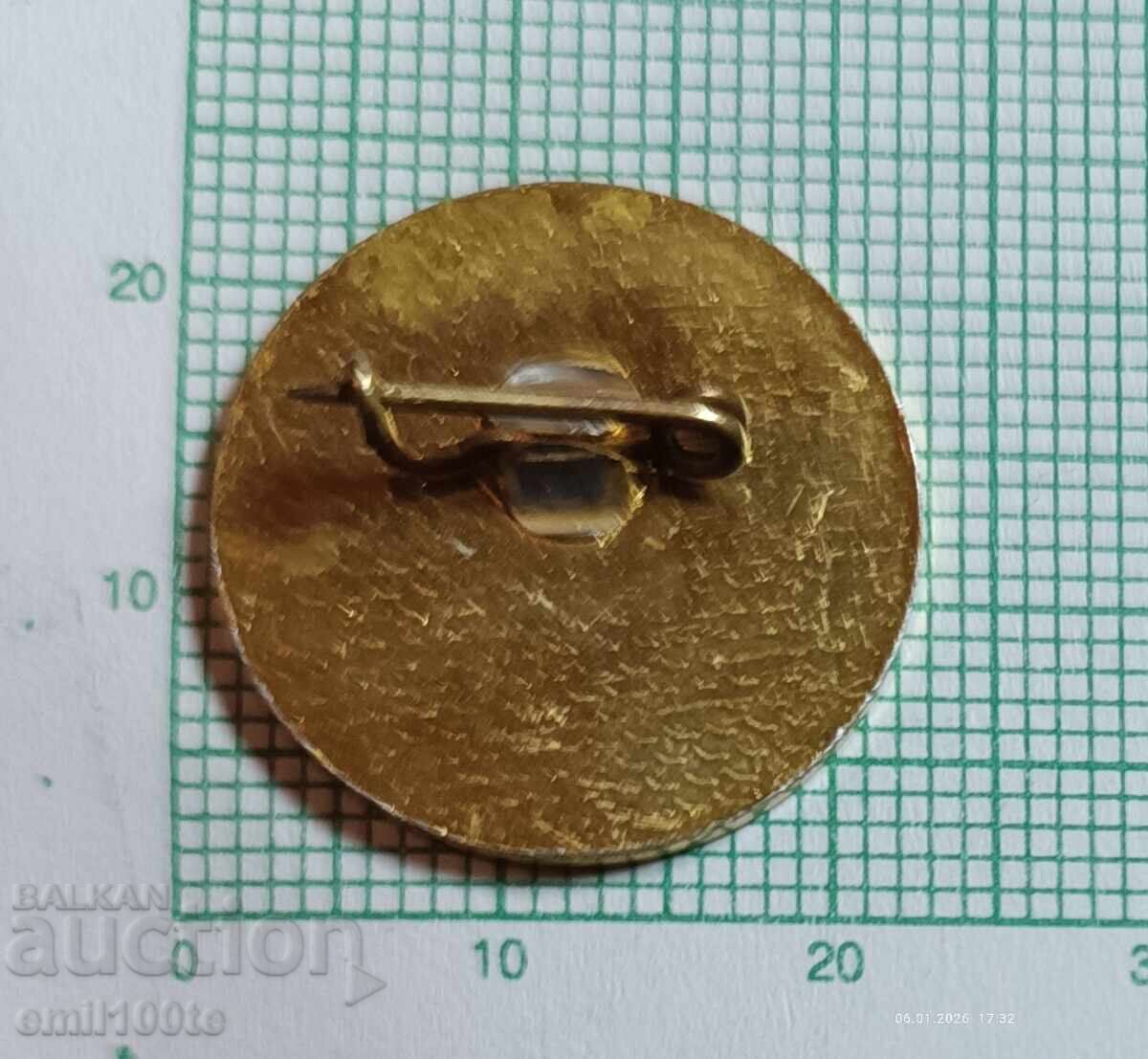 Значка- 80 години Самоковска партийна организация 1899 1979 - 5