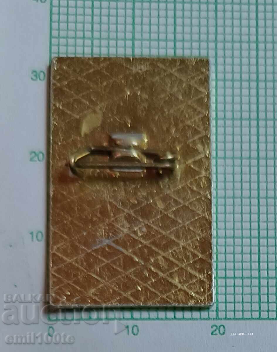 Доставка на Значка- 60 години Свиленградска партийна организация