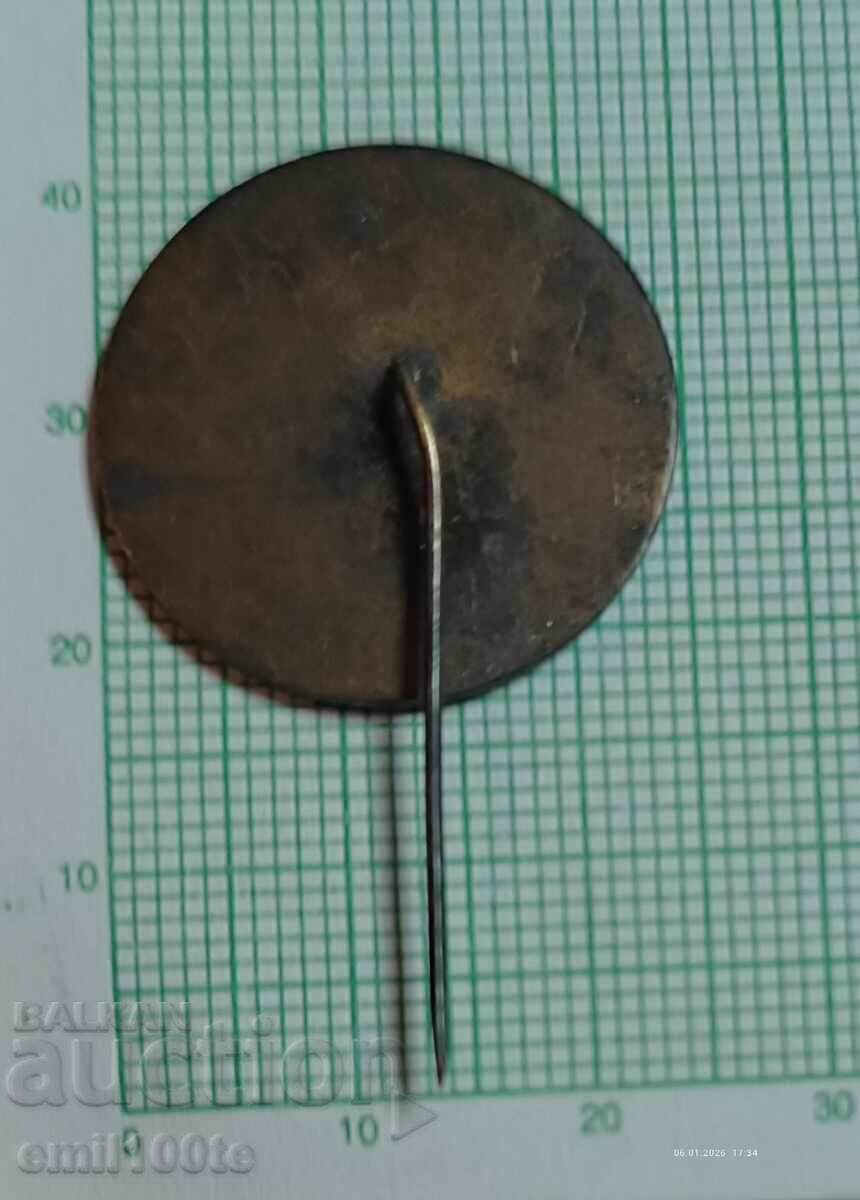 Insigna - 25 de ani RRTS pe Vârful Botev 1956 1981 - 5 Insigna - 25 de ani RRTS pe Vârful Botev 1956 1981 - 5