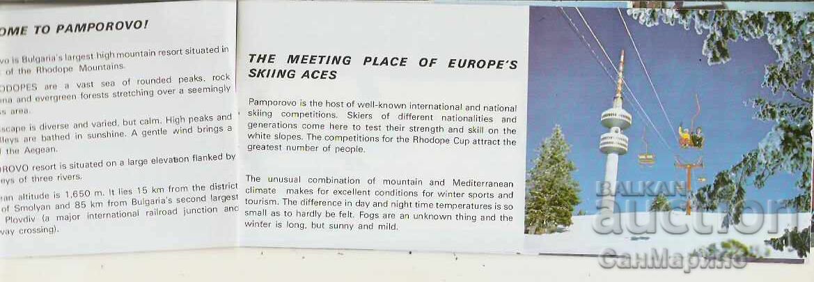 Auction Advertising flyer Pamporovo Auction Advertising flyer Pamporovo