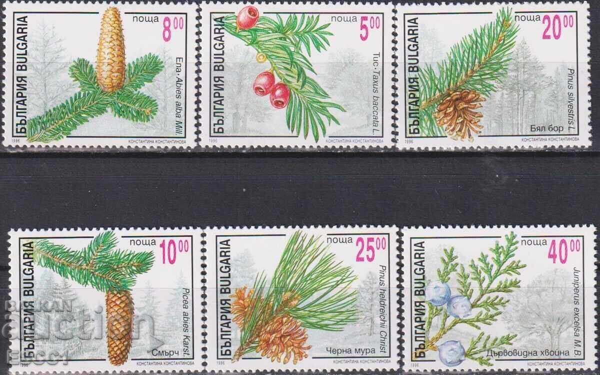 Clean Stamps Coniferous Plants Trees 1996 from Bulgaria Clean Stamps Coniferous Plants Trees 1996 from Bulgaria