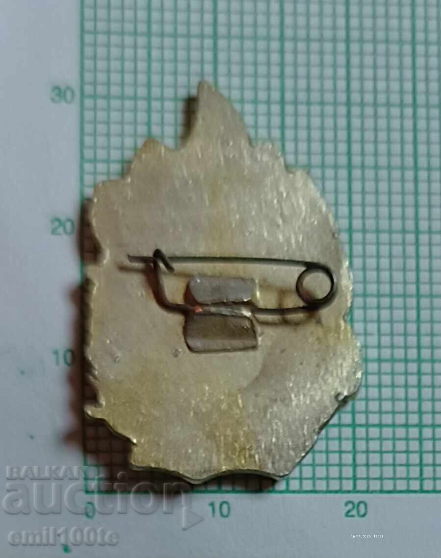 Livrarea Ecuson - YUDPD Detașament de pompieri voluntari tineri URSS Livrarea Ecuson - YUDPD Detașament de pompieri voluntari tineri URSS