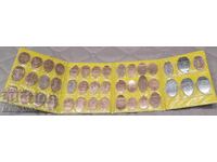 Κοινά από την Κρουαζιέρα της Disney