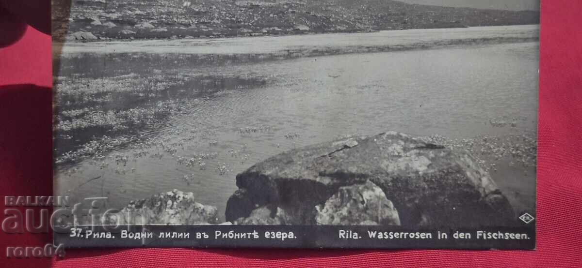 RILE (This is likely already a Romanian word, so cu preț € 10.00 | 19.56 BGN