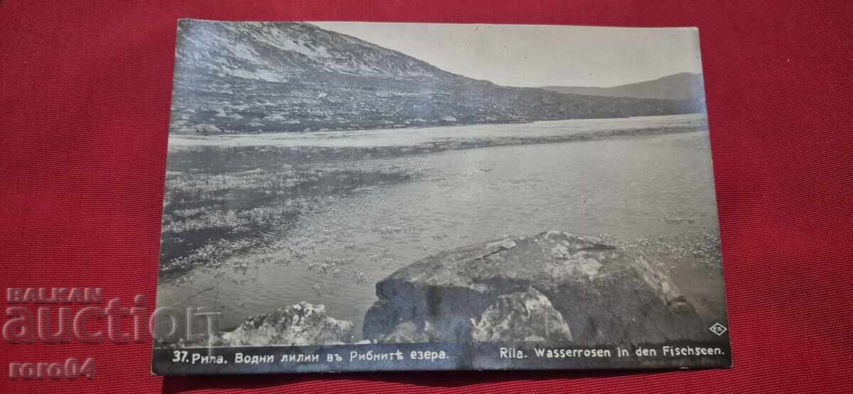 RILE (This is likely already a Romanian word, so - 5