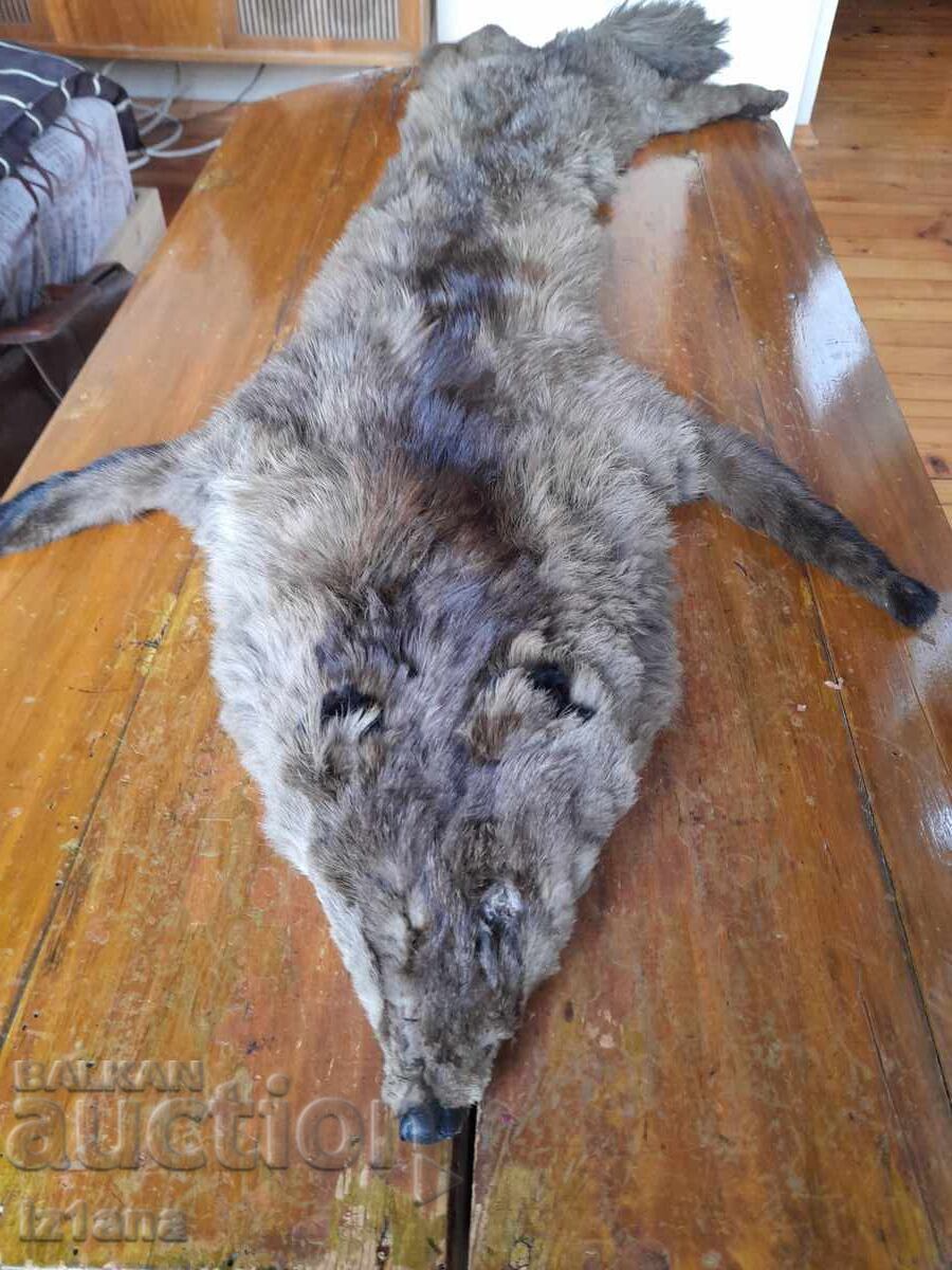 Piele veche, guler de vulpe cu preț € 33.00 | 64.54 BGN Piele veche, guler de vulpe cu preț € 33.00 | 64.54 BGN