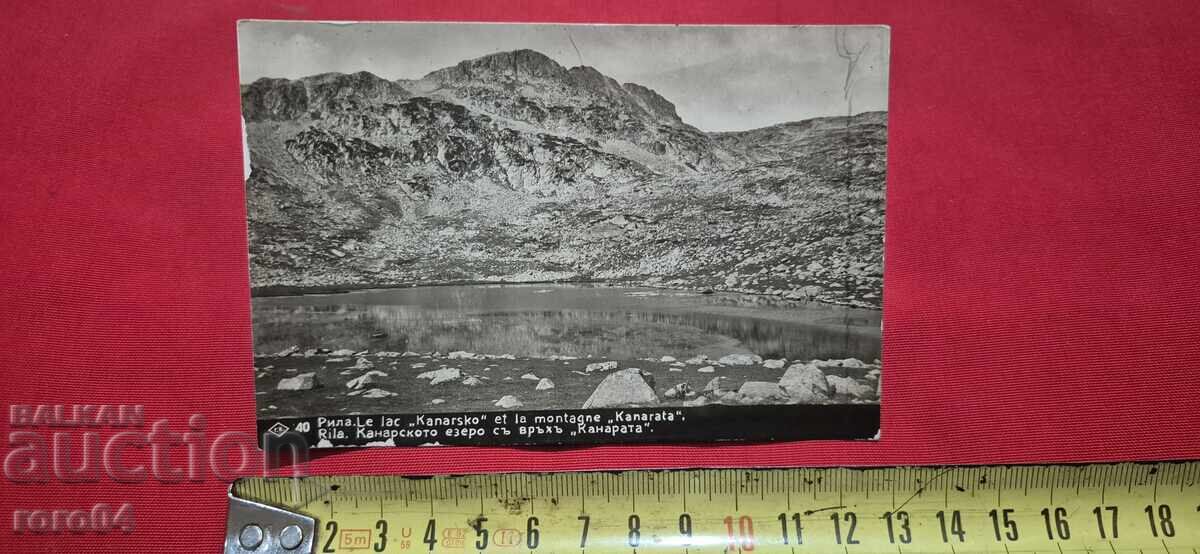 Licitație RILE (This is likely already a Romanian word, so