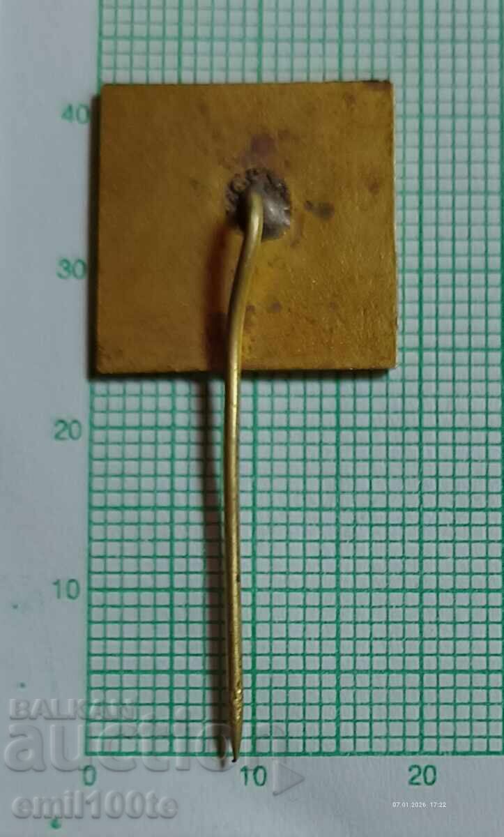 Ecuson - Combinatul Chimic Dimitrovgrad - 5