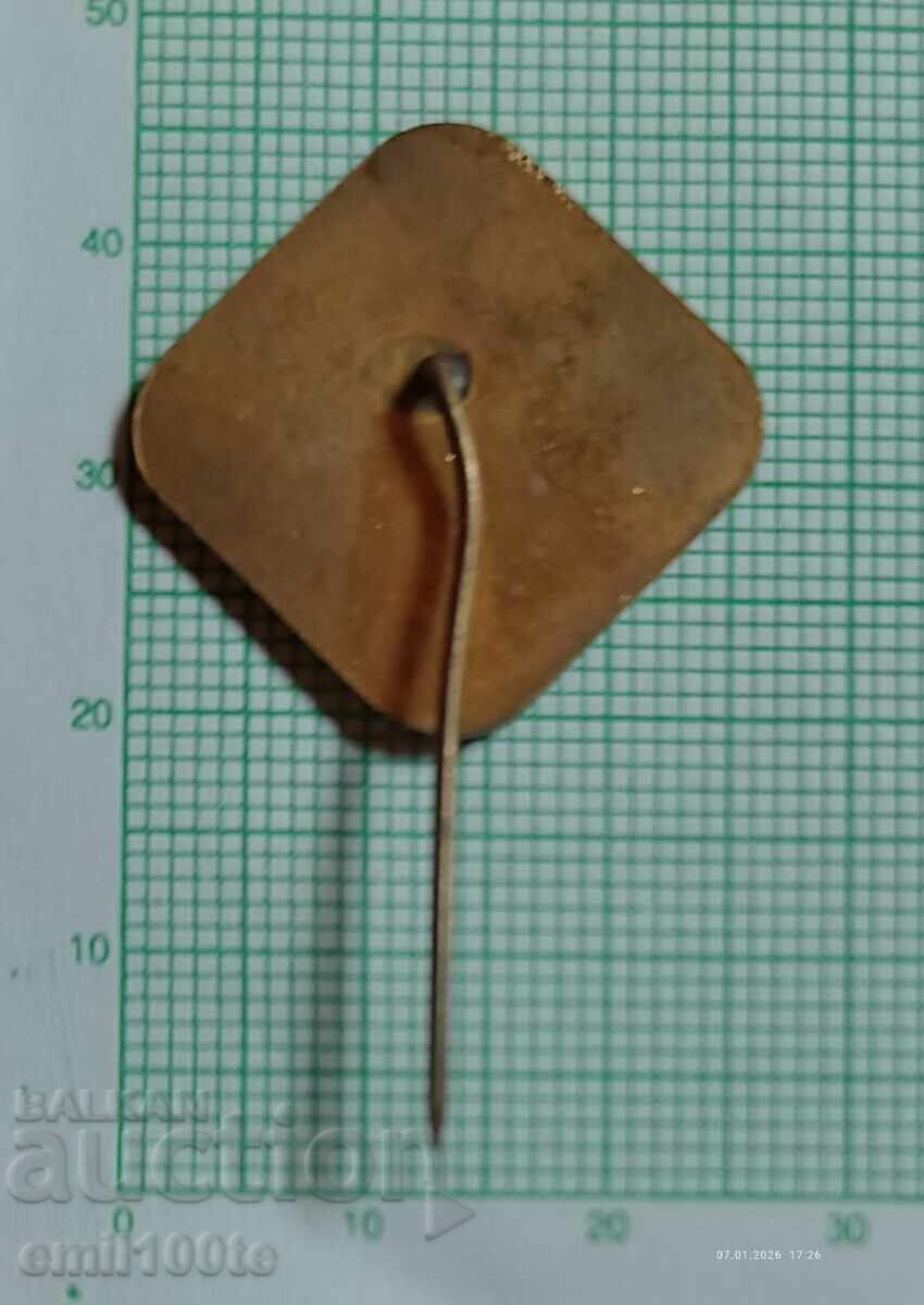 Livrarea Insigna - EXPO EXPO 81 Plovdiv Livrarea Insigna - EXPO EXPO 81 Plovdiv