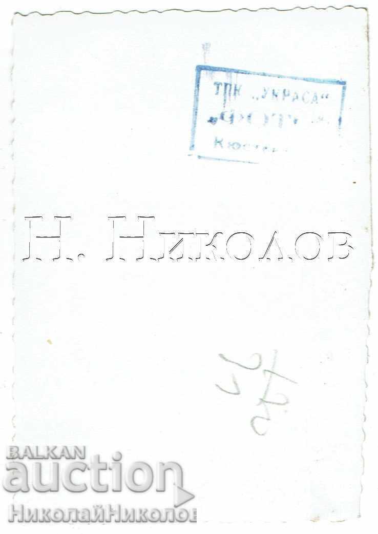 МАЛКА СТАРА СНИМКА КЮСТЕНДИЛ ЖЕНА В ГРАДИНА Е751 с цена € 1.00 | 1.96 лв. МАЛКА СТАРА СНИМКА КЮСТЕНДИЛ ЖЕНА В ГРАДИНА Е751 с цена € 1.00 | 1.96 лв.