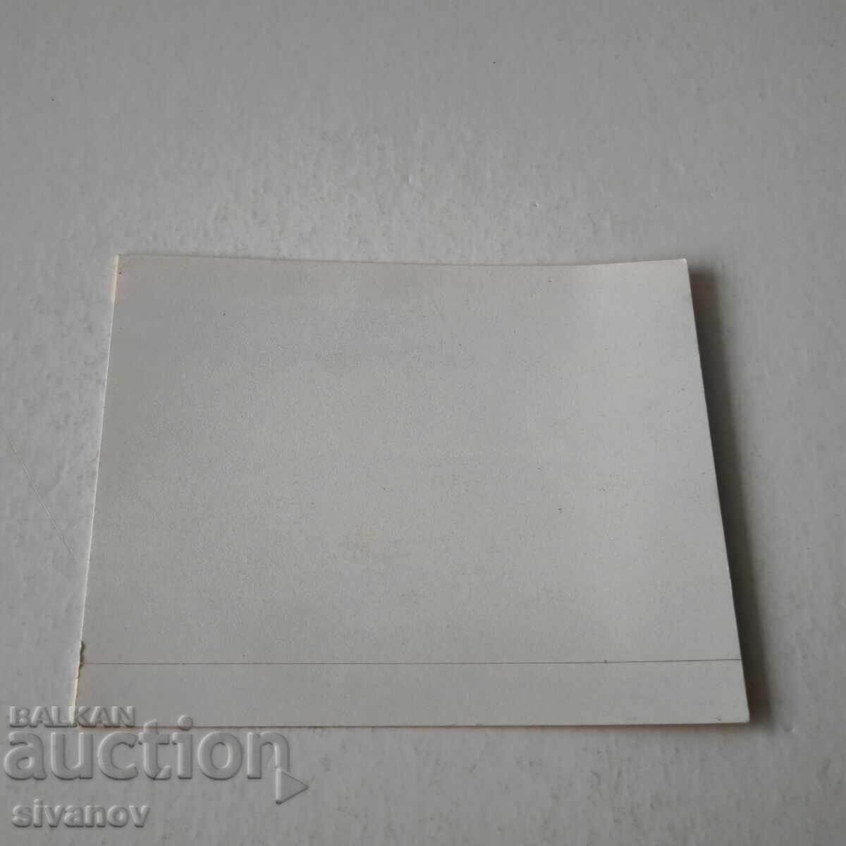 Autocolant Condor Lufthansa Mauritius #6239 - 5 Autocolant Condor Lufthansa Mauritius #6239 - 5